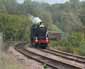 6024 at Dainton - 21 Oct 06