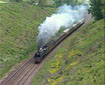 71000 smashes all previous records - 29 May 07