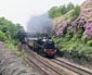 45407 at Greenfield - 9 June 07