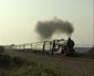 6024 at Margam Moors - 14 April 07