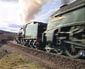 61994 & 60009 at Slochd viaduct - 10 April 07