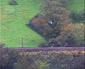 Sanding on Honiton bank - 28 Oct 07