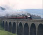 5690 on Dandry Mire viaduct - 20 Sept 08