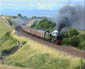 46115 on Birkett common - 2 Aug 09