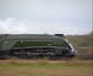 60019 at Eckington - 28 Nov 09