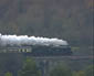 6024 at Corston - 12 Dec 09