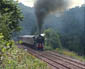 70013 at Hemerdon - 25 July 09