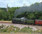 70013 at Tigley - 25 July 09