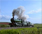 4965 & 5043 at Combe Fishacre - 15 May 10