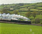 4965 & 5043 nr Lilisford Farm - 15 May 10