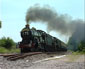 6024 & 5029 at Burlescombe - 28 Jun 10