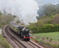 6024 at Dainton - 1 May 10