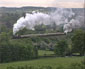 6201 on Lickey Incline - 29 May 10