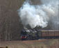 70013 & 61994 on Dunkeld bank - 13 Apr 10